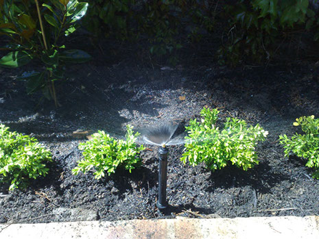 Garden Watering system