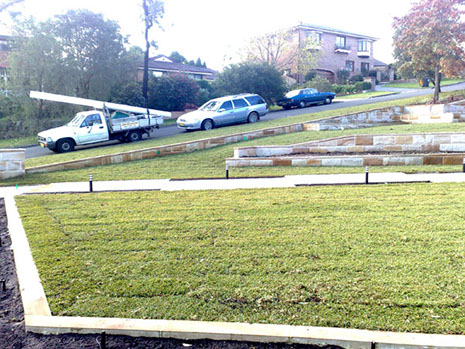 Turf and Irrigation Glenhaven image 3