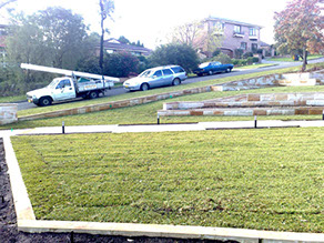 Turf and Irrigation Glenhaven image 3